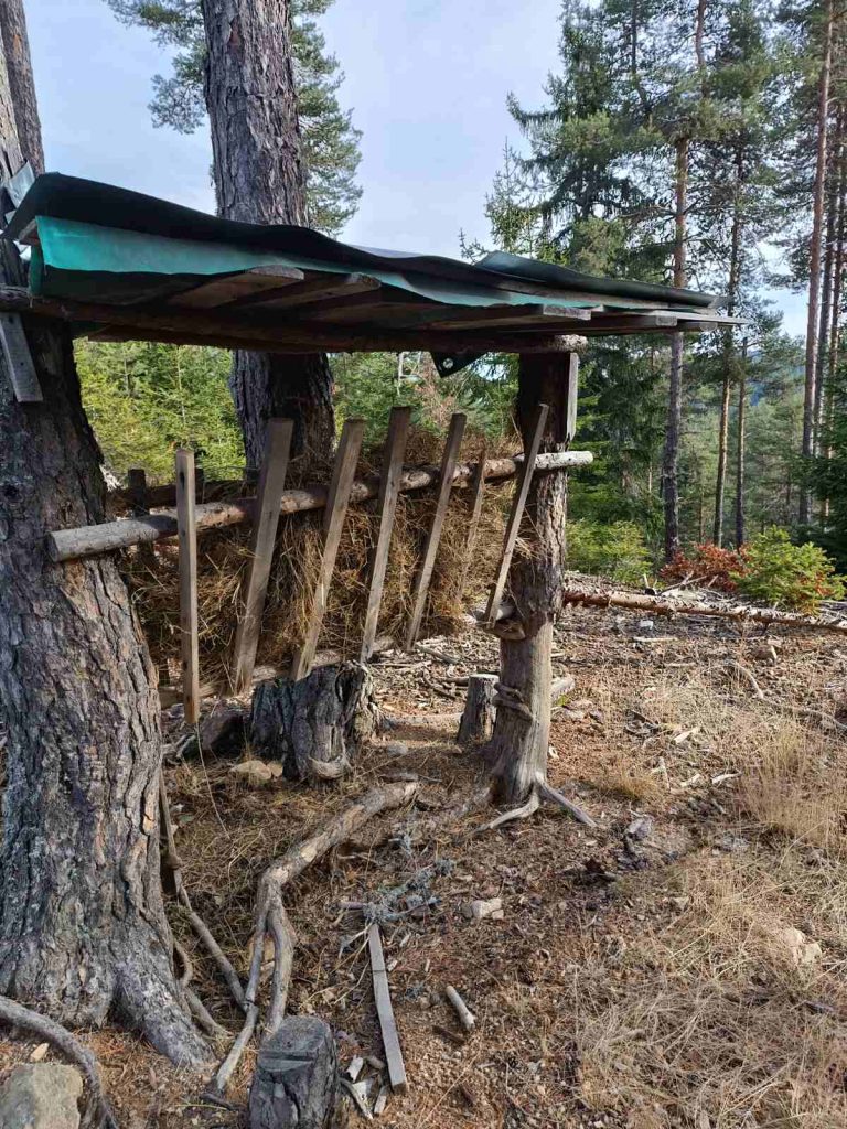 славейно лов