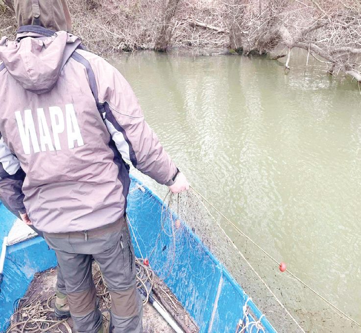 проверки река дунав