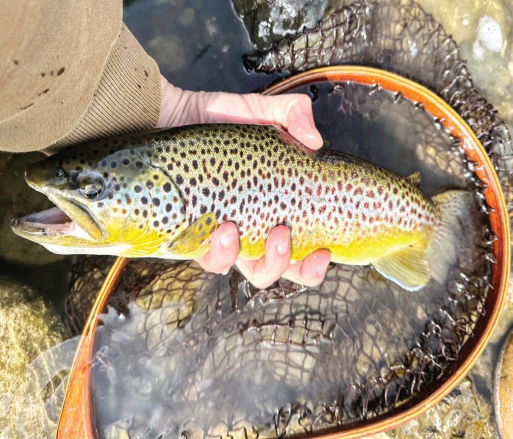 риболов софия