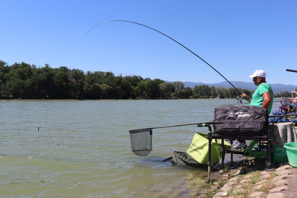 световно тепетата
