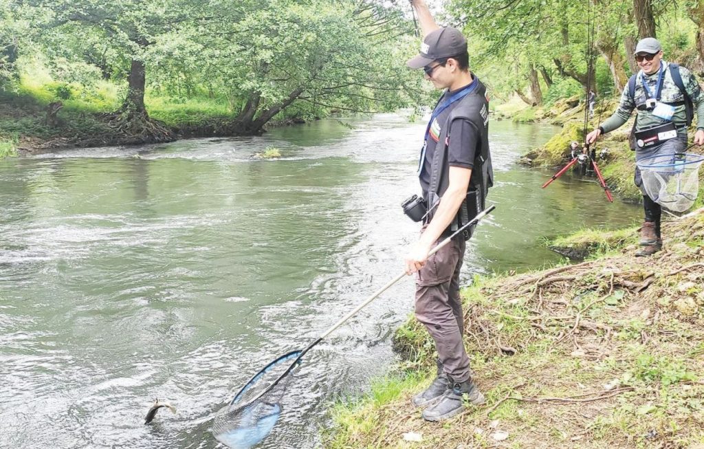 спининга сила