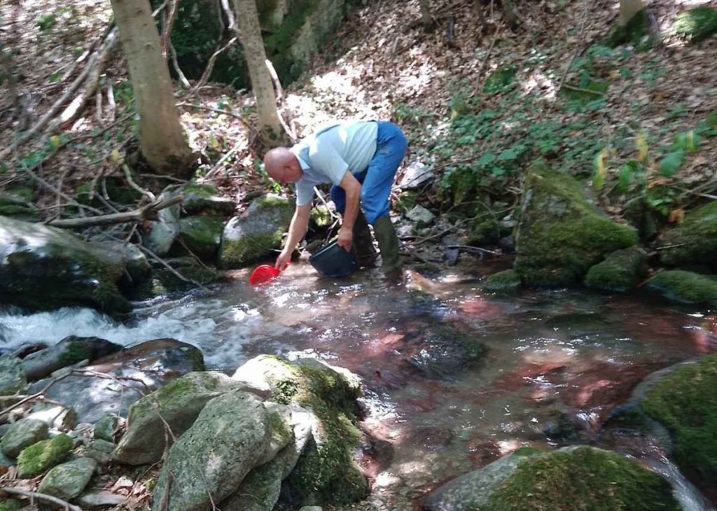 зарибяване слрб