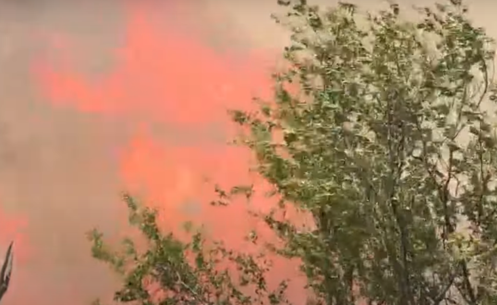 болярово пожари