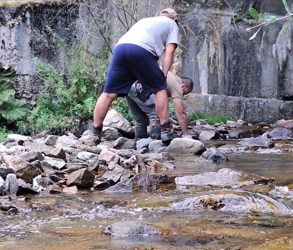 зарибяване хидроенергия