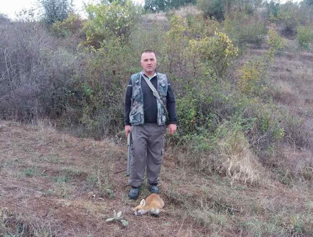 петричко пернати