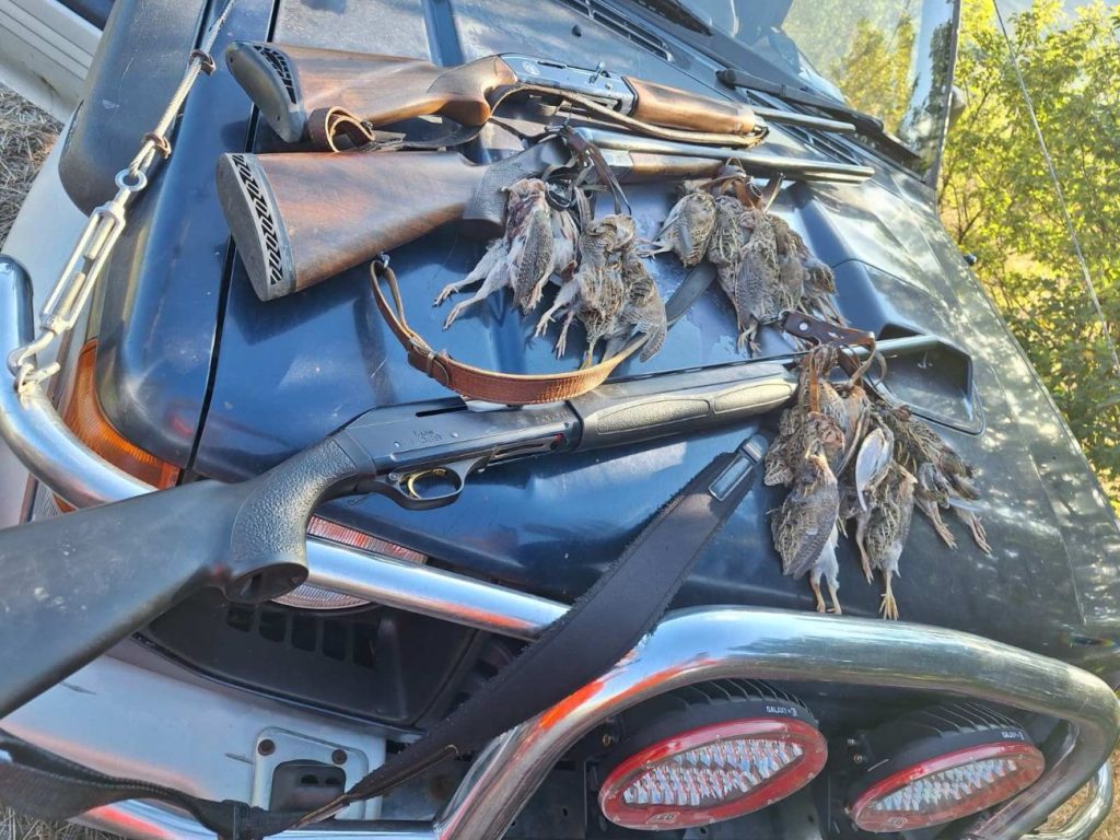 баланово лов