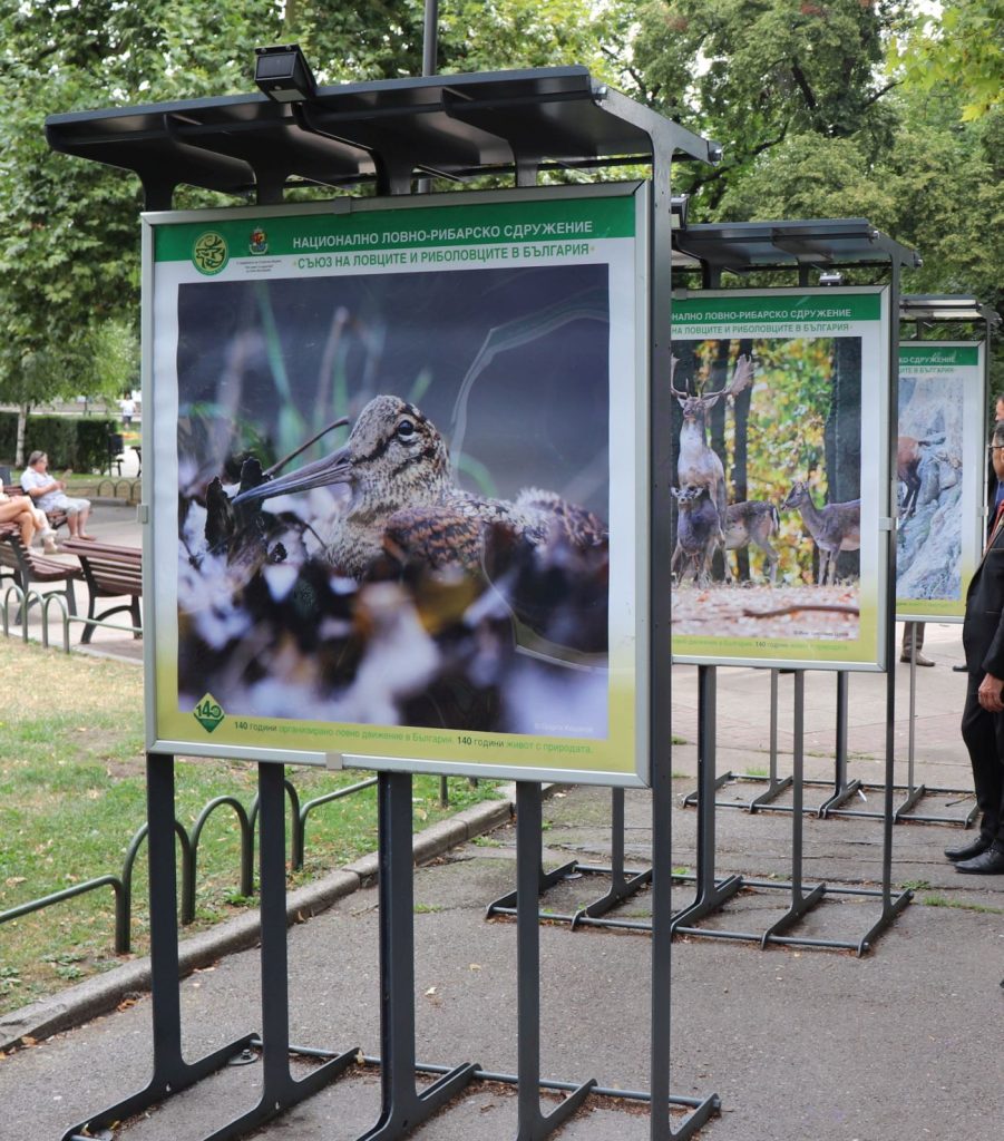 Мигове от дивия свят