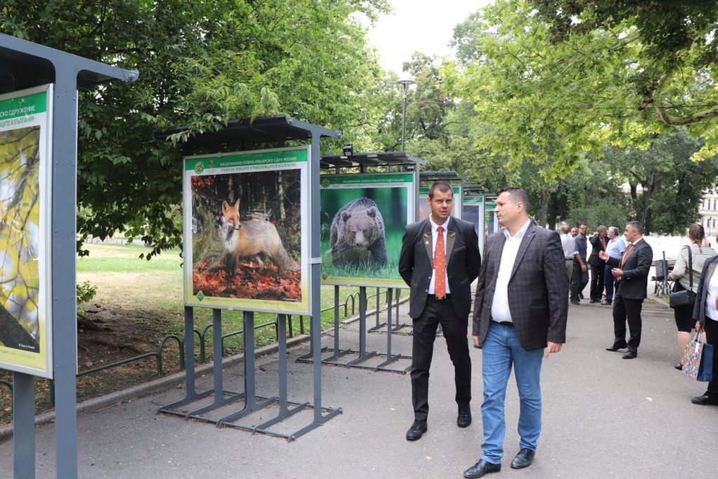 Мигове от дивия свят