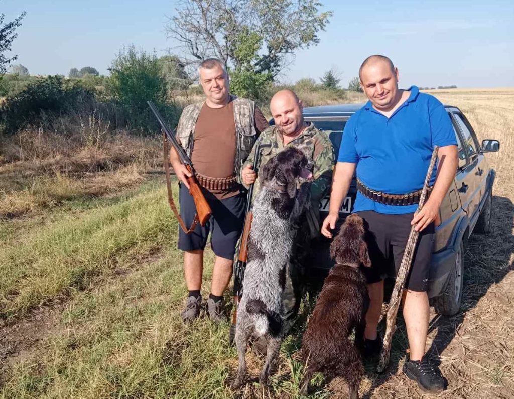 пъдпъдъците балкана