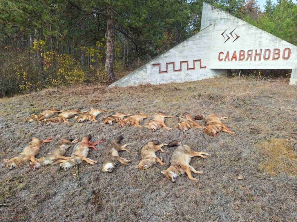 Комисията по „Ловно стопанство“