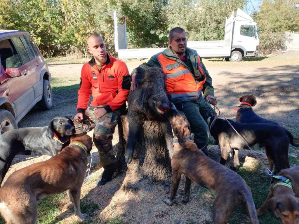 търговище лов