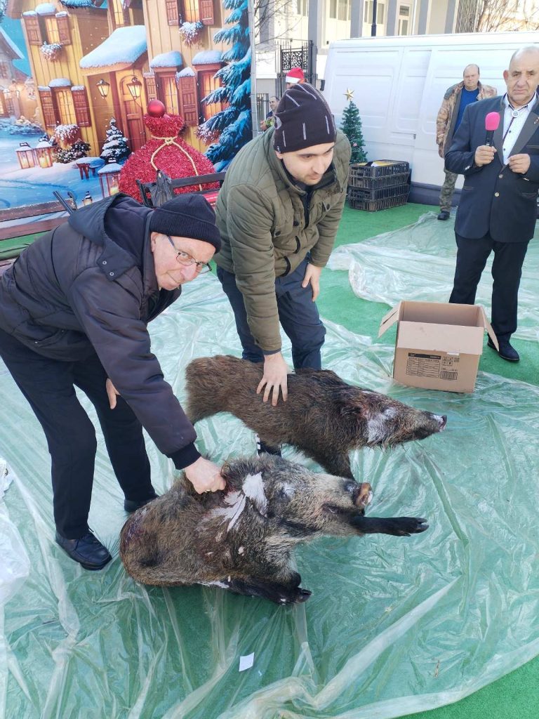 томбола петрич