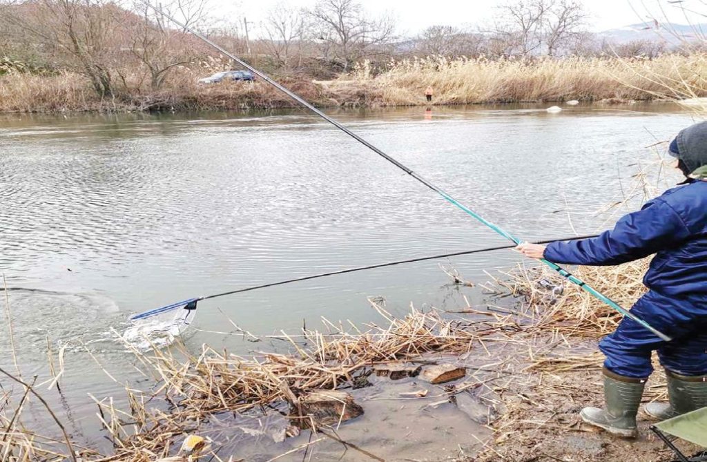 скобари крупник