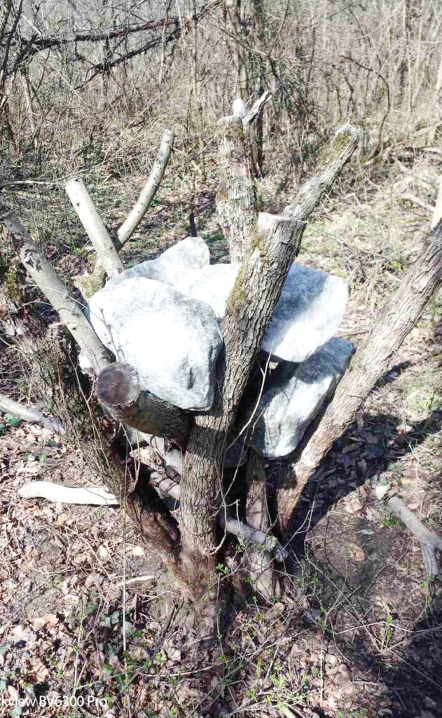 велико търново подхранване