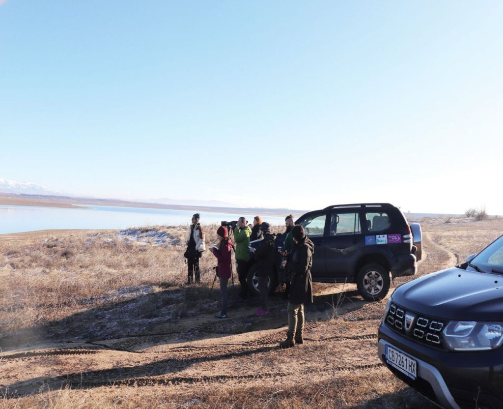 водолюбивите птици