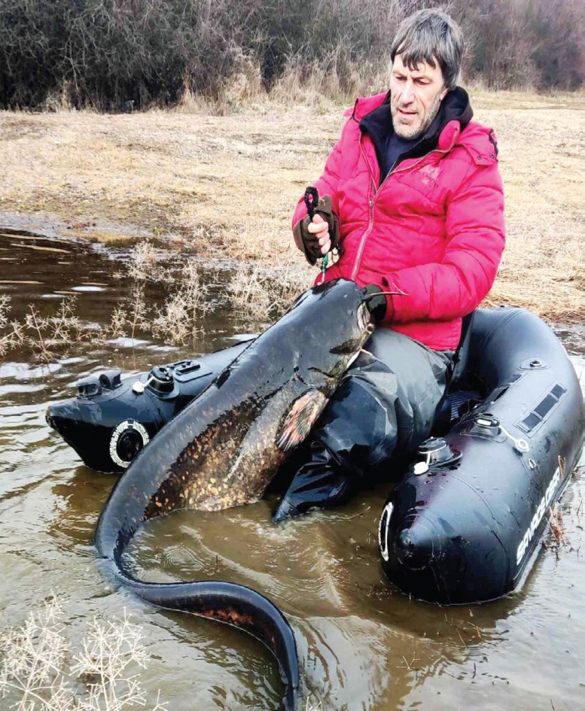 сомовете зима