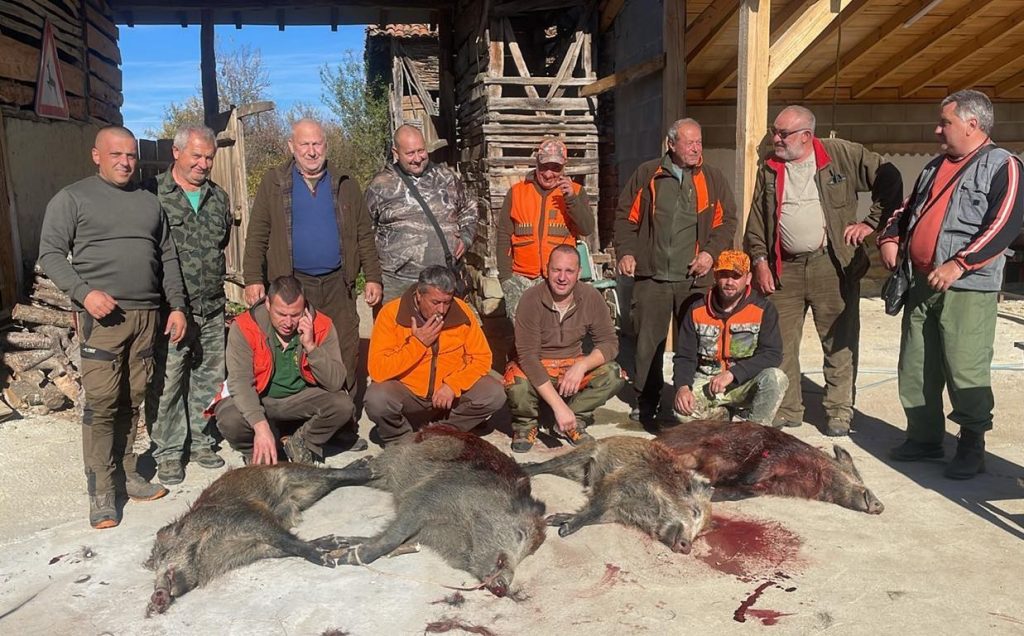 антоново отчет