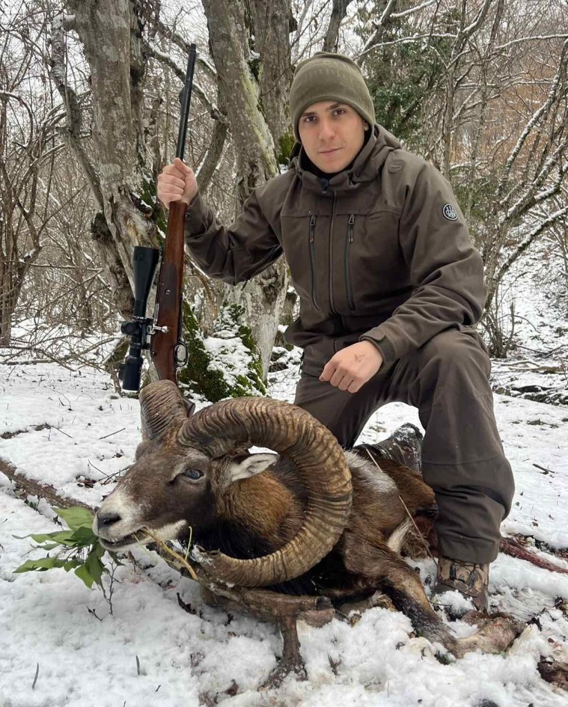 трофеен муфлон