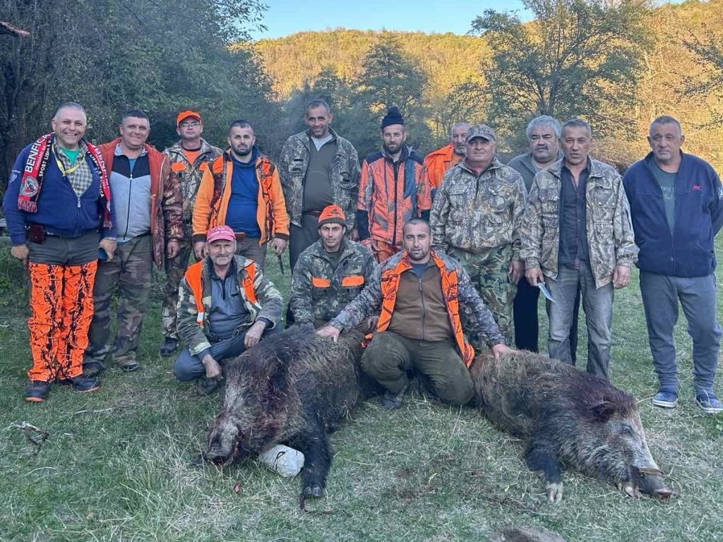 антоново отчет