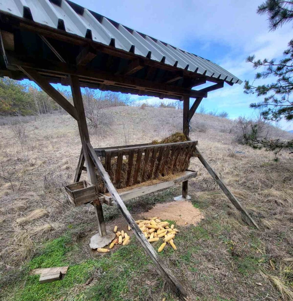 бяла хранилките