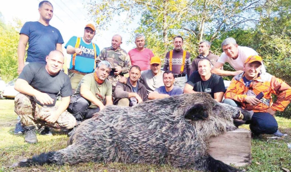 дупница-отчет