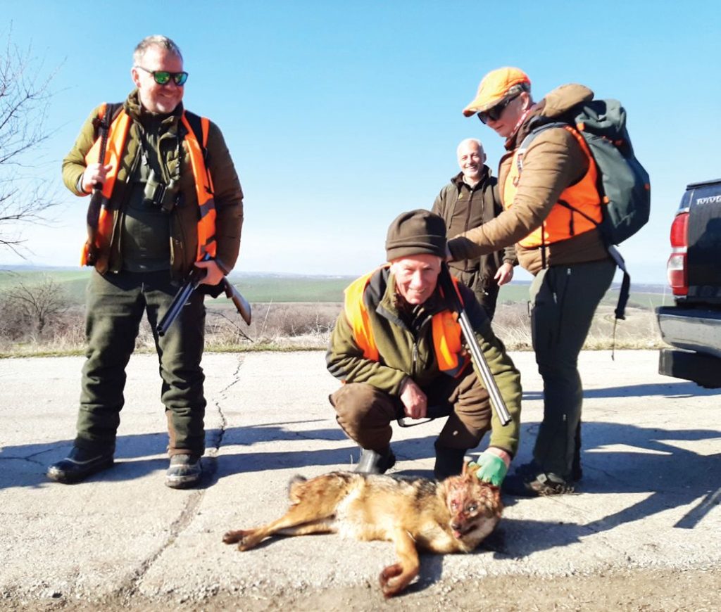 face димитровград