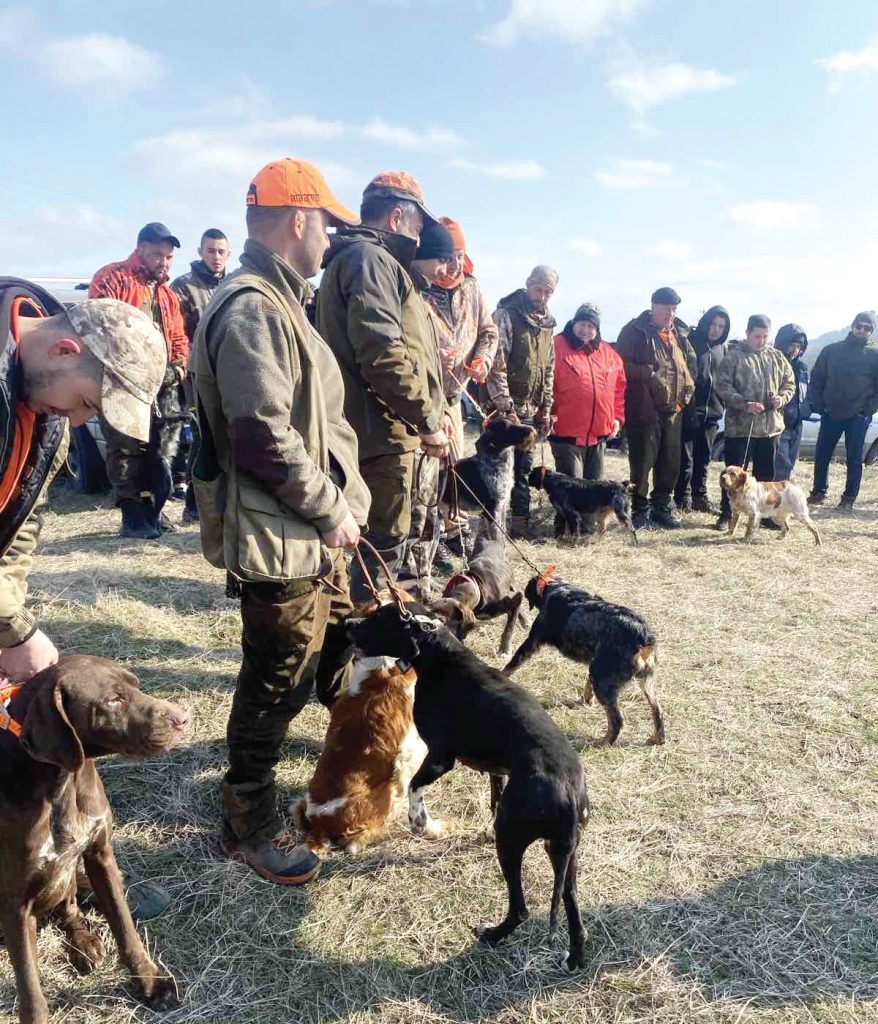 Джейхан Сали