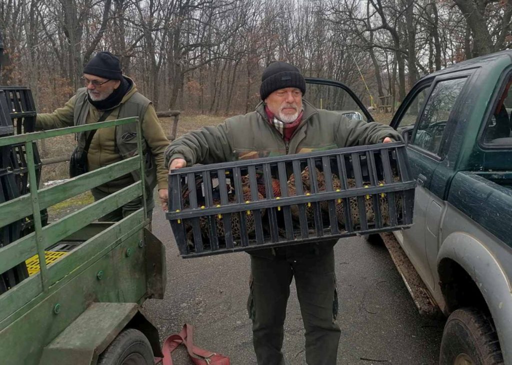 хасково разселване