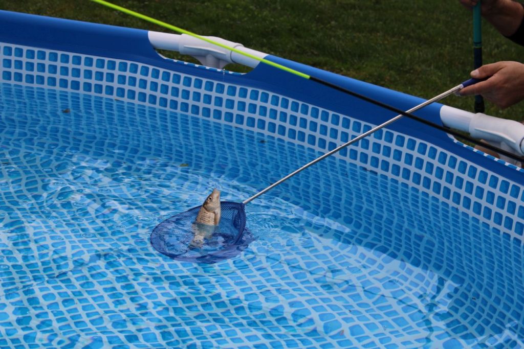 малките посетители