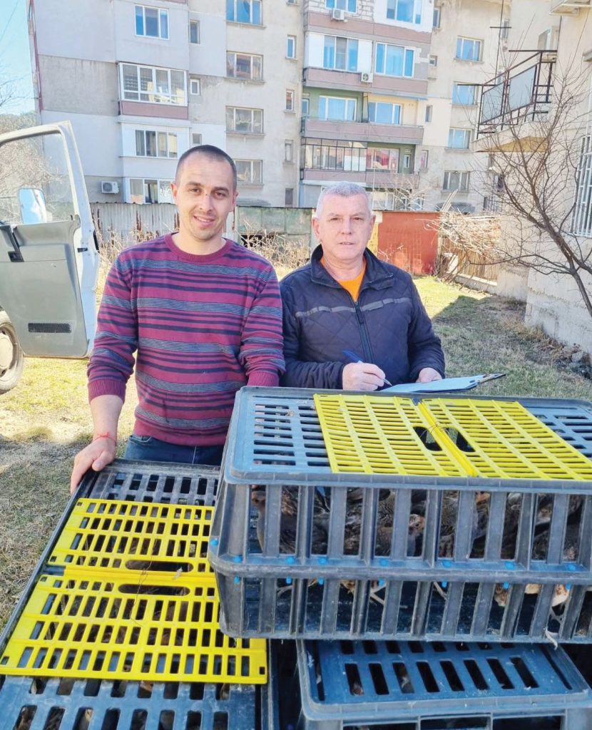 сливница разселване