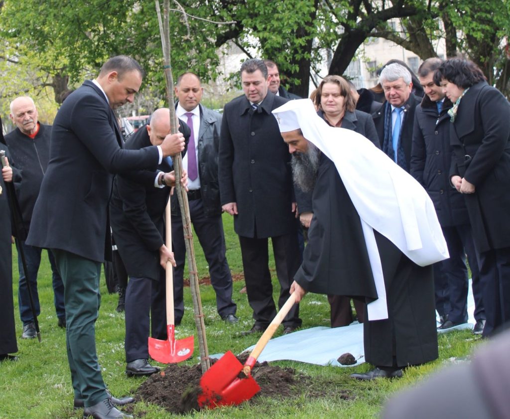 седмицата на гората патриарх