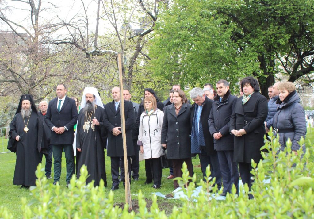 седмицата на гората патриарх