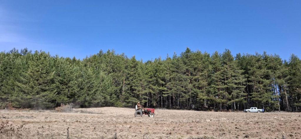 разлог ниви