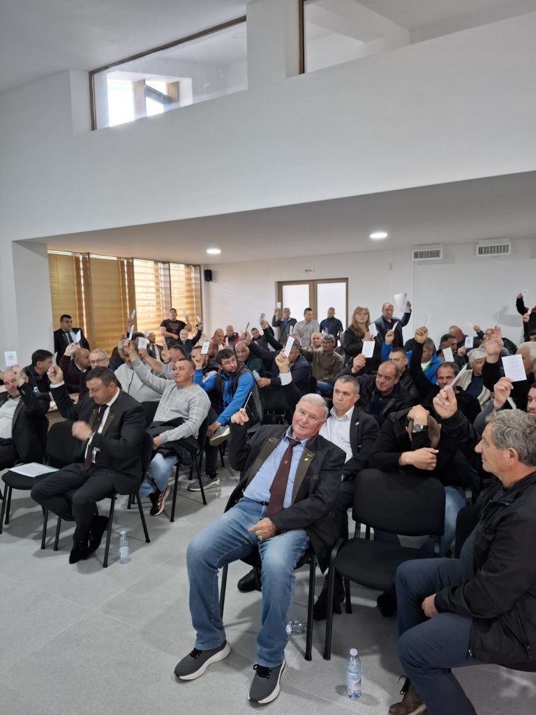 Спаневиков мандат