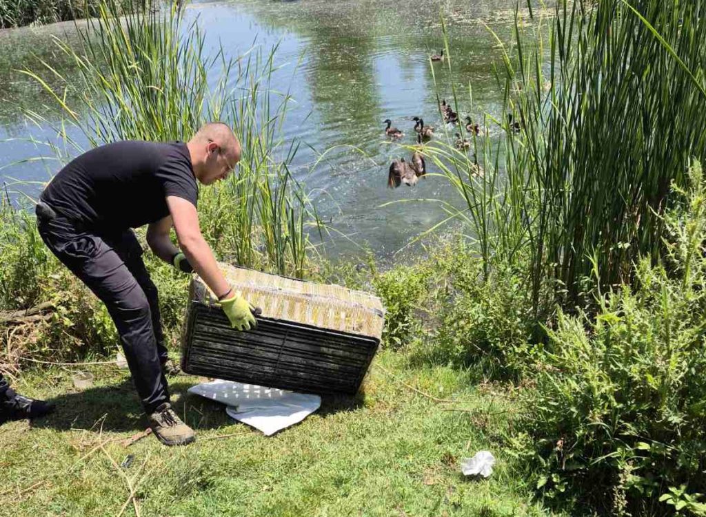 благоевград патици