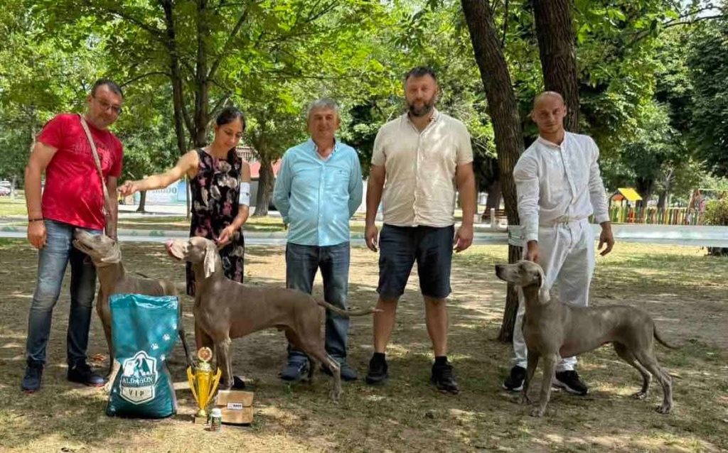 Български ваймаранер клуб