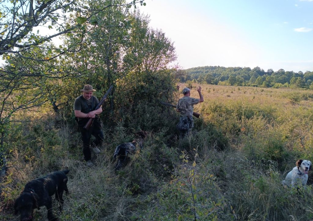 болярво лов