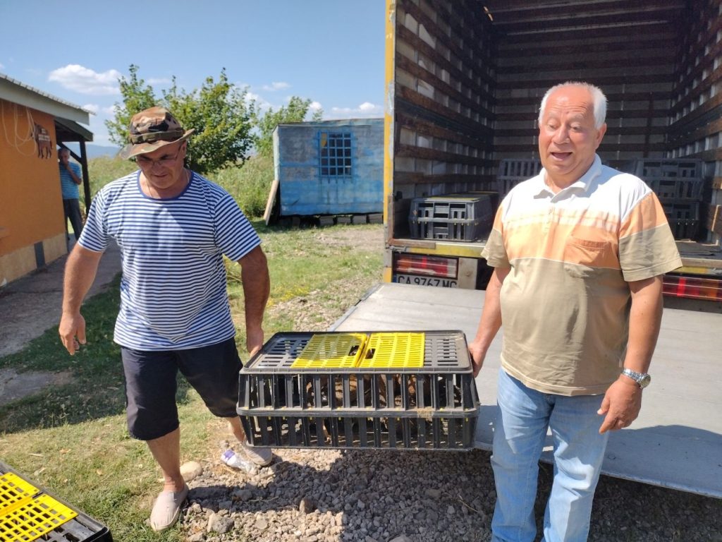 разселване долни богров