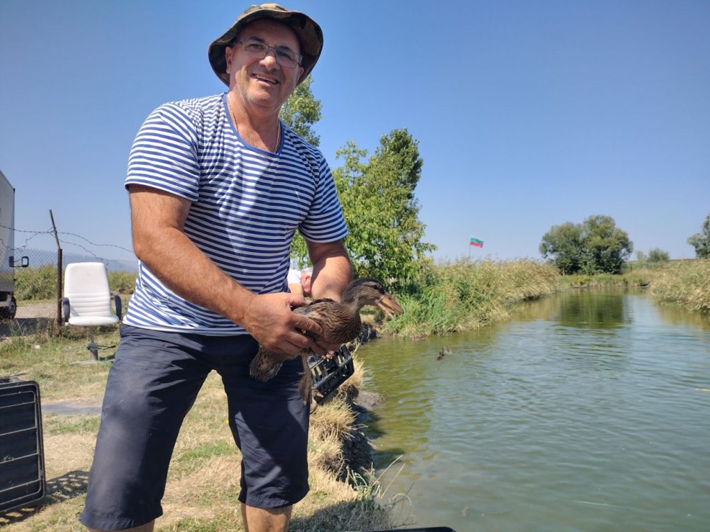 разселване долни богров