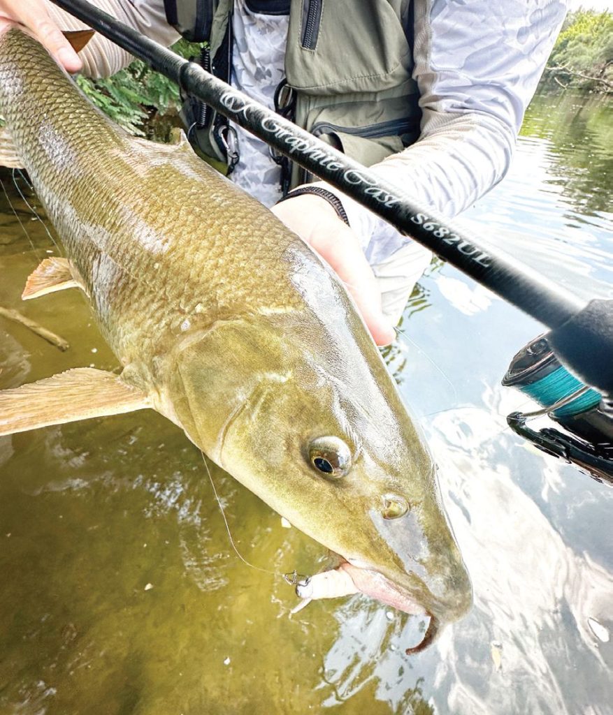 спининг бяла мряна