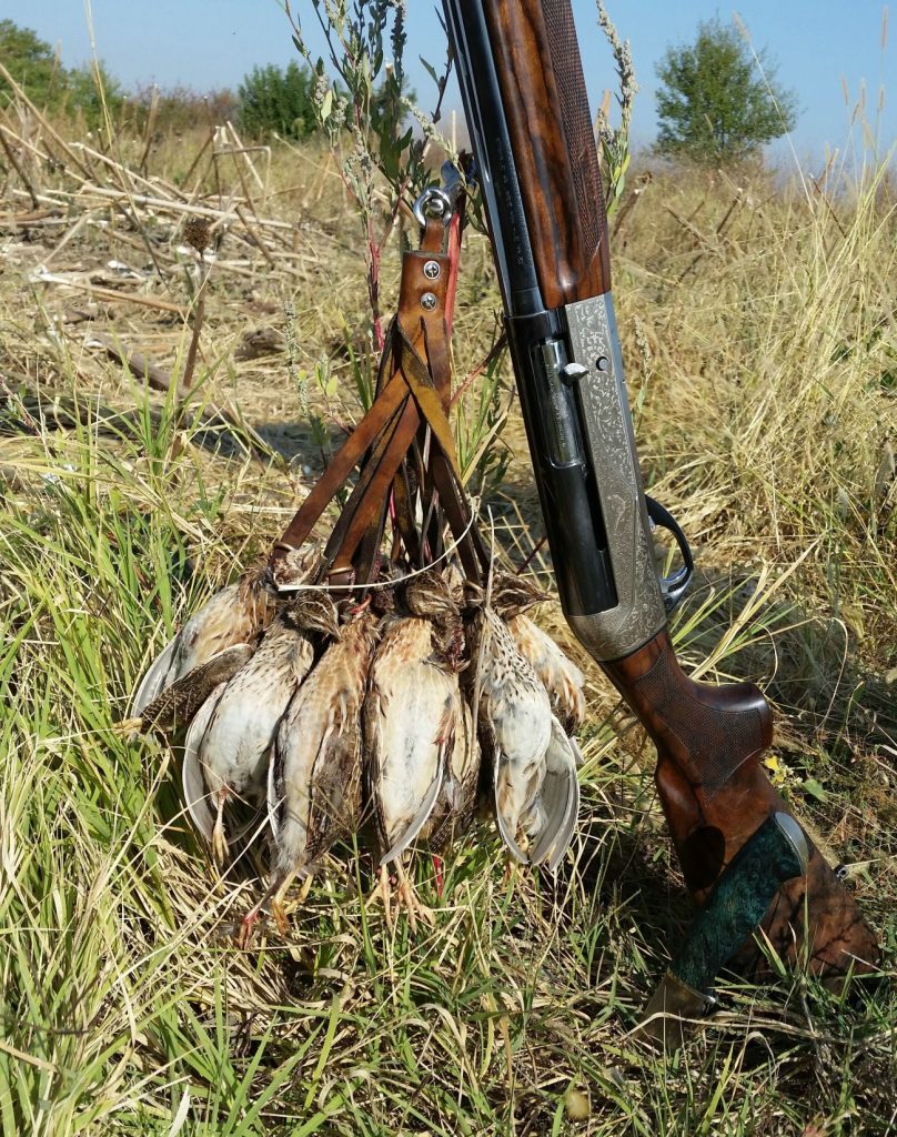 ЛРС-Бяла, Русенско