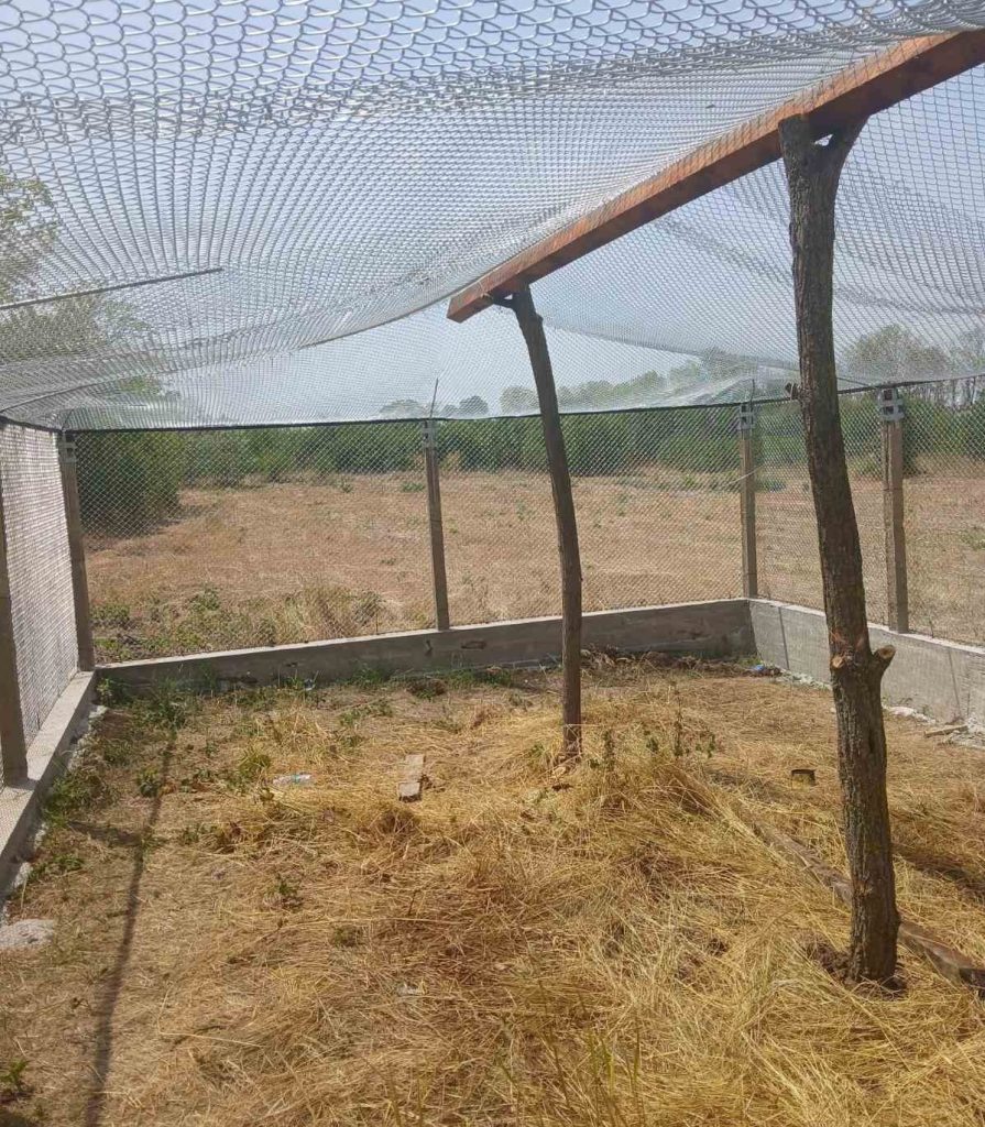 шипот волиер