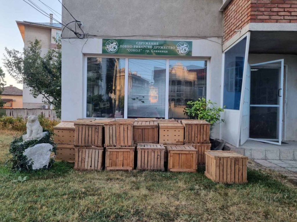 сливница зайци