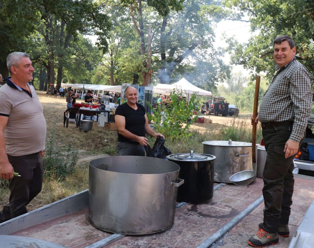 събор монтана китката