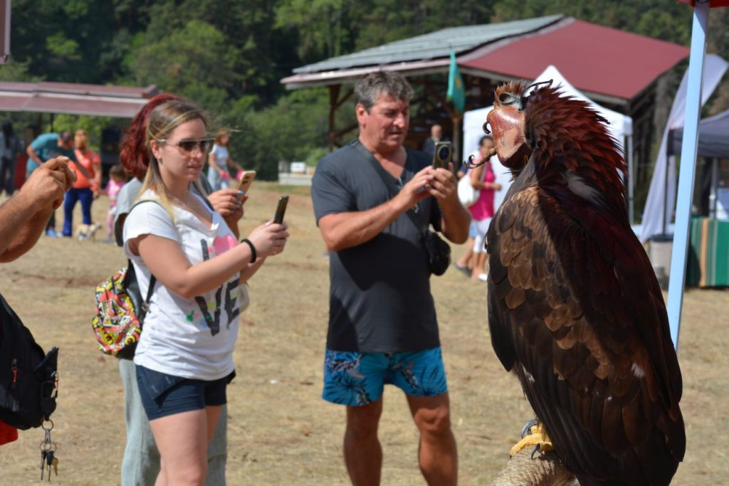събор софия-изток