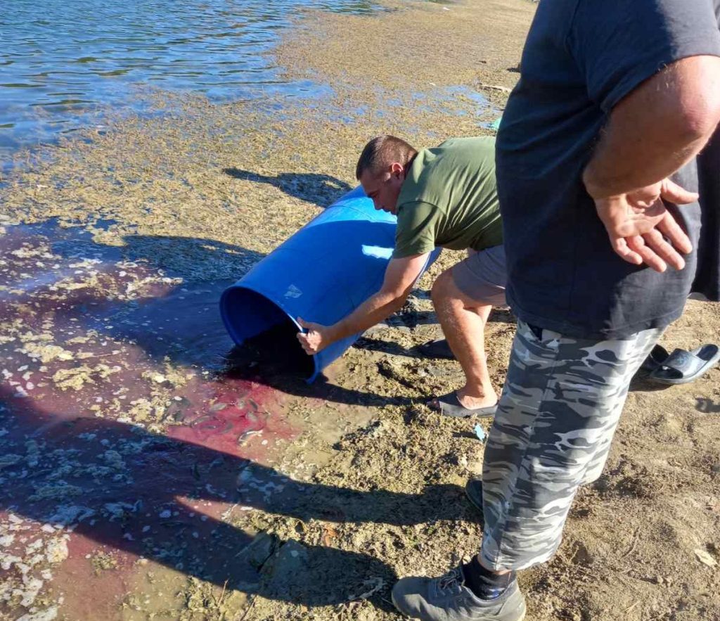 троян зарибяване