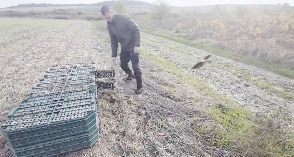 варна разселване