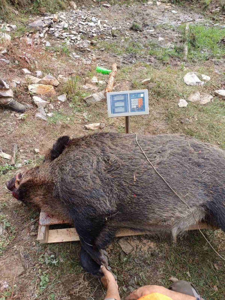 рибново лов