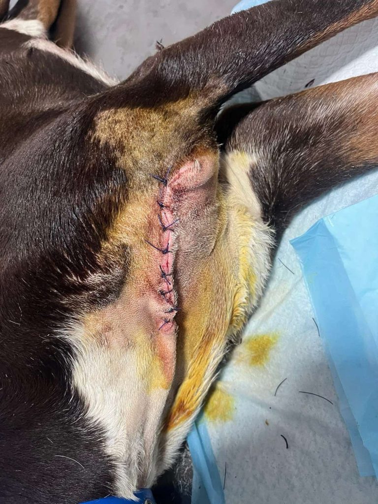 рибново лов