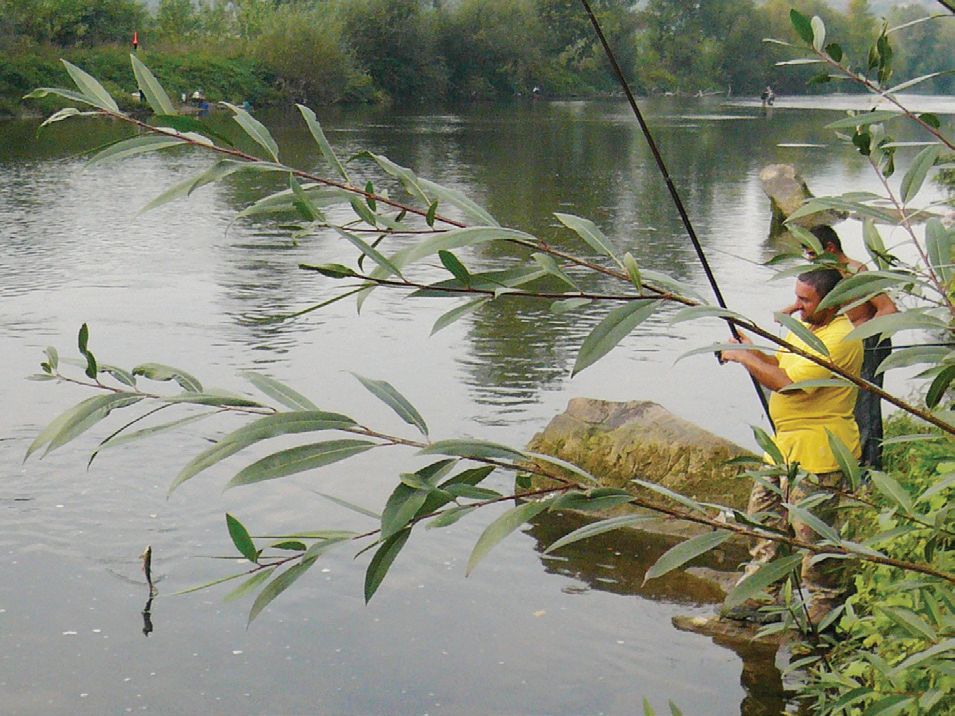 бели мрени